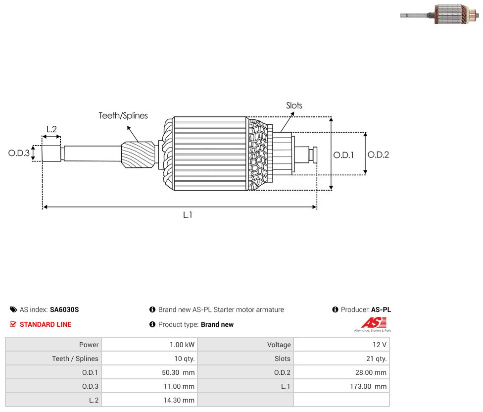 Starter motor armature