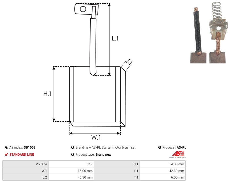 Starter motor brush