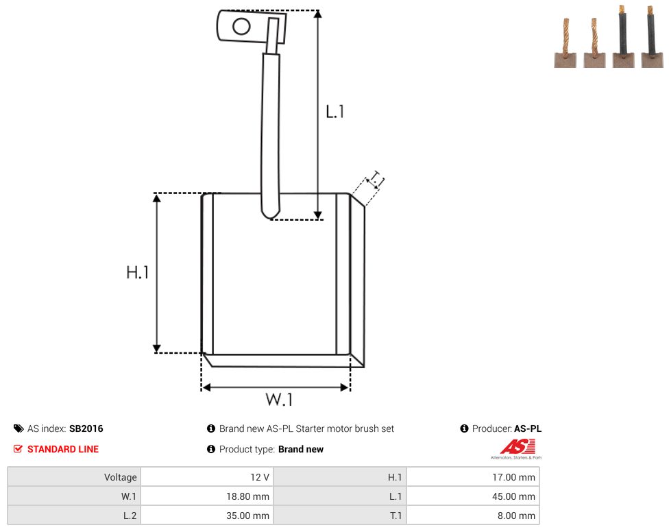 Starter motor brush
