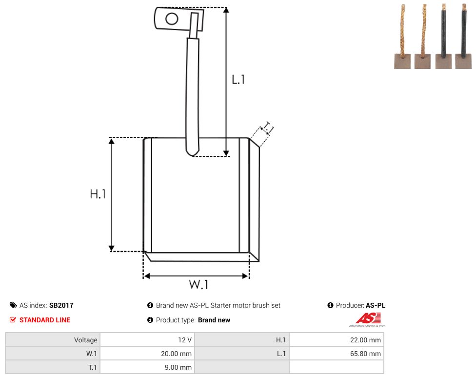 Starter motor brush