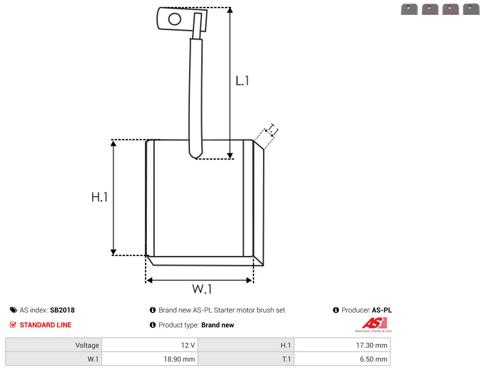 Starter motor brush