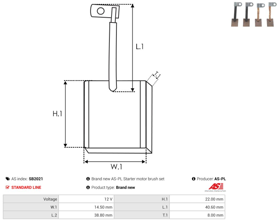 Starter motor brush