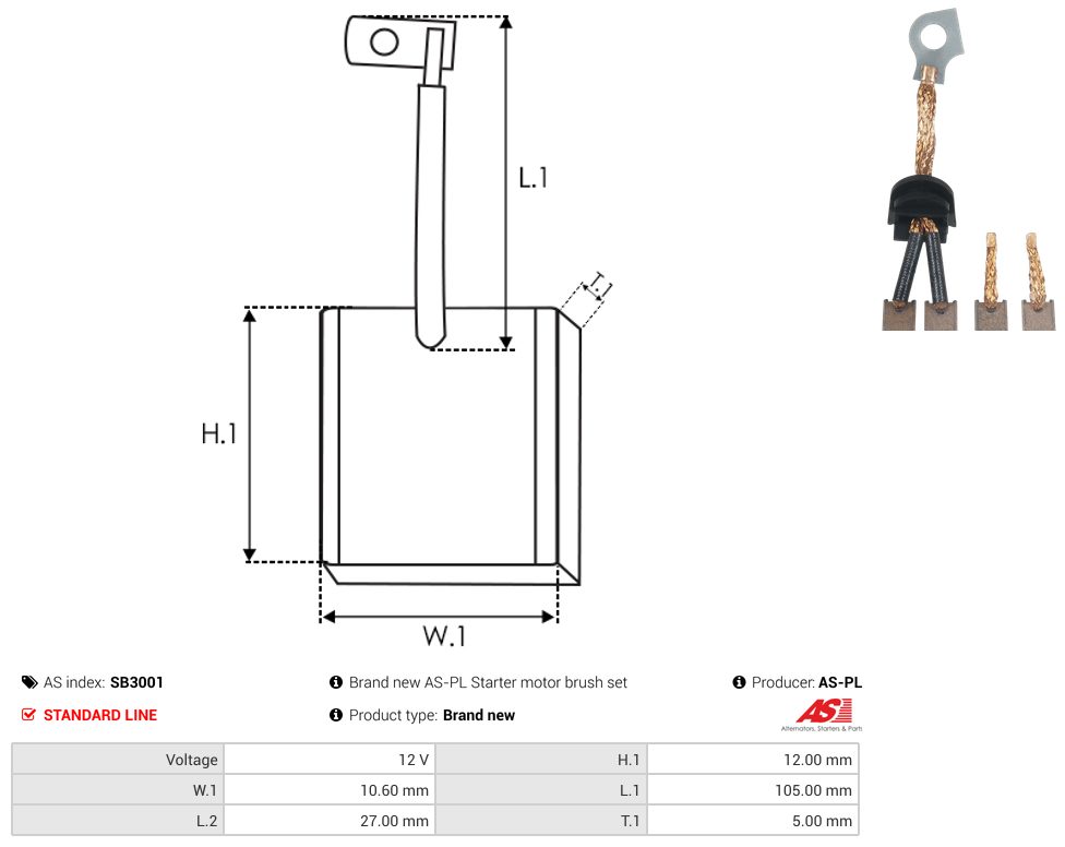 Starter motor brush
