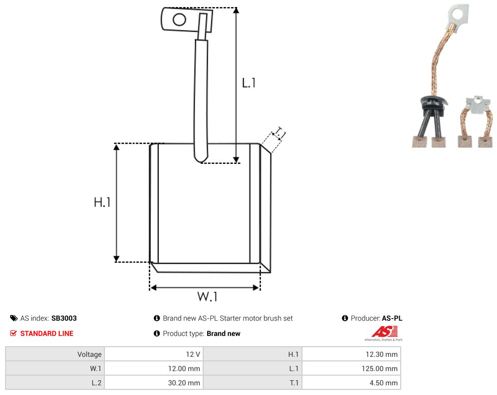 Starter motor brush