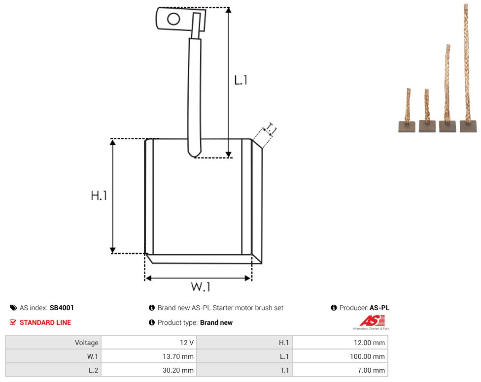 Starter motor brush