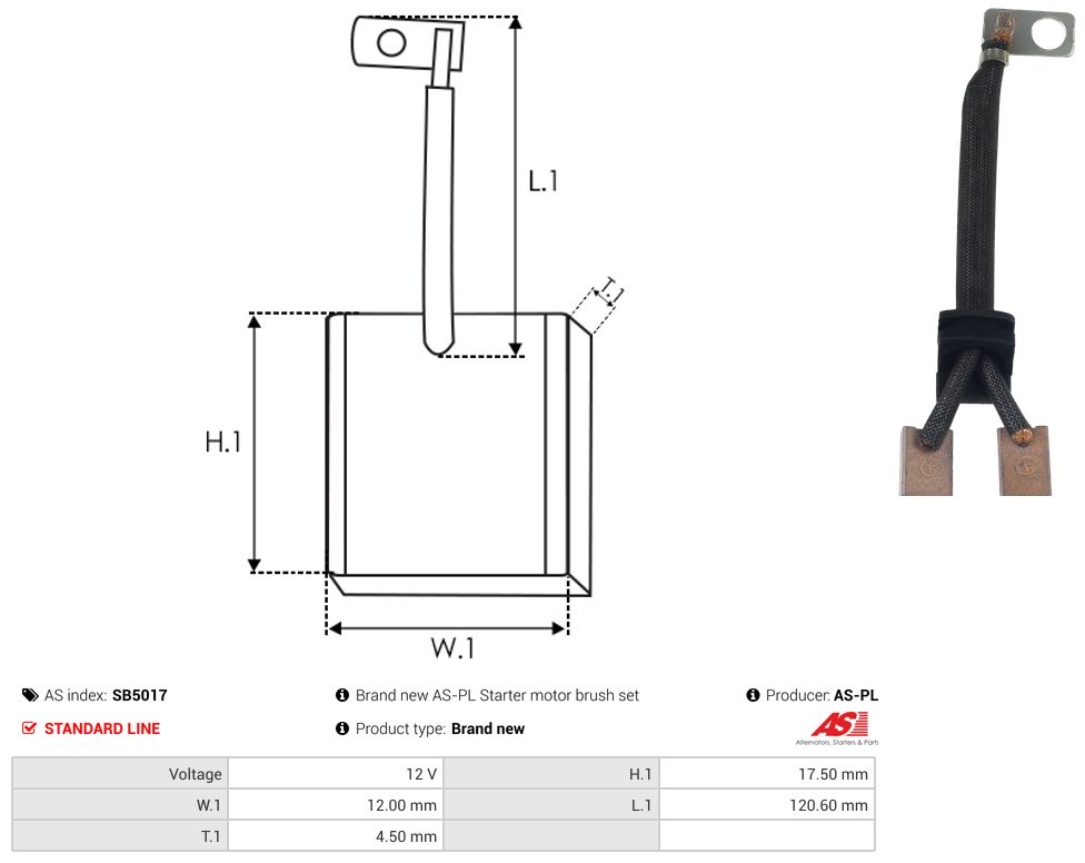 Starter motor brush
