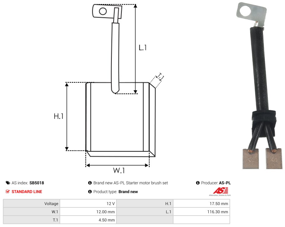 Starter motor brush