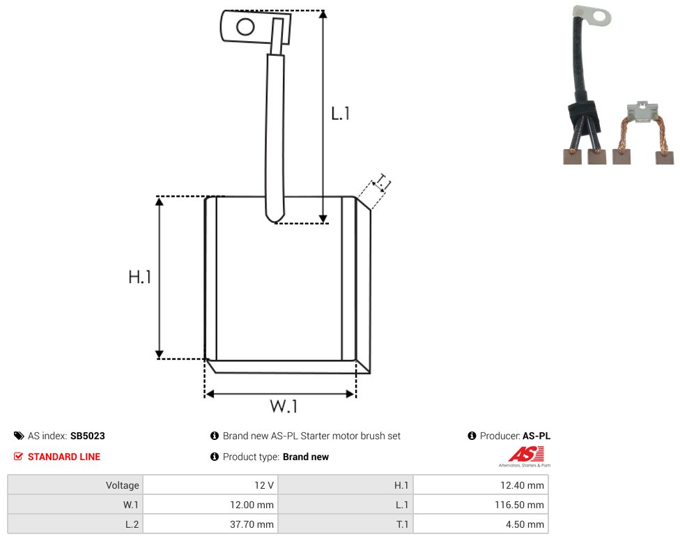 Starter motor brush