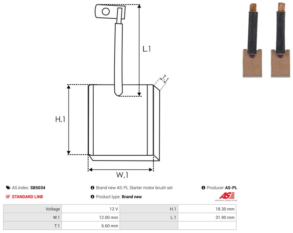 Starter motor brush