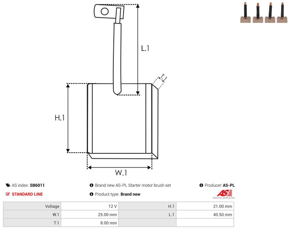Starter motor brush