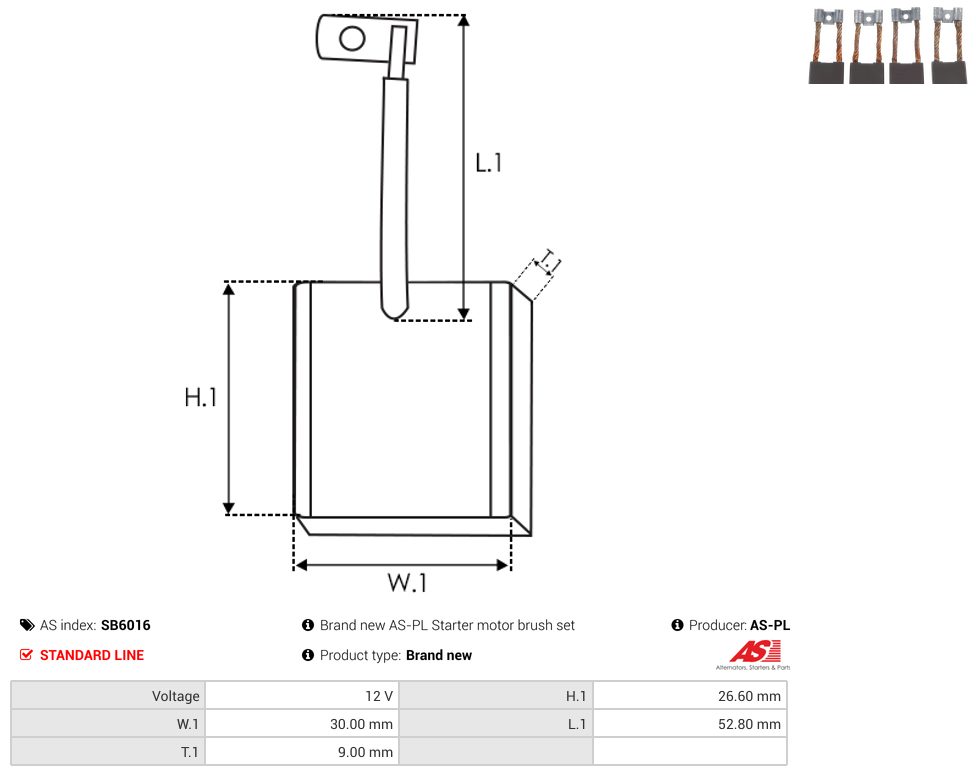 Starter motor brush