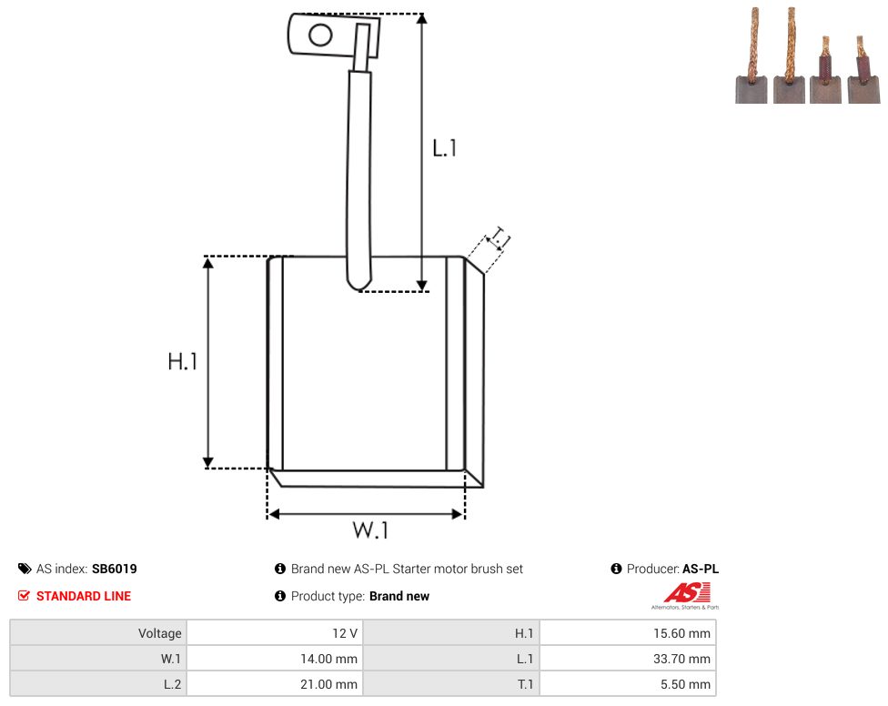 Starter motor brush