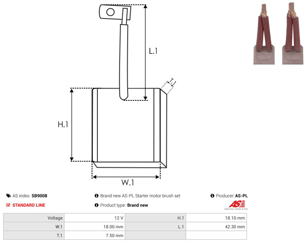 Starter motor brush