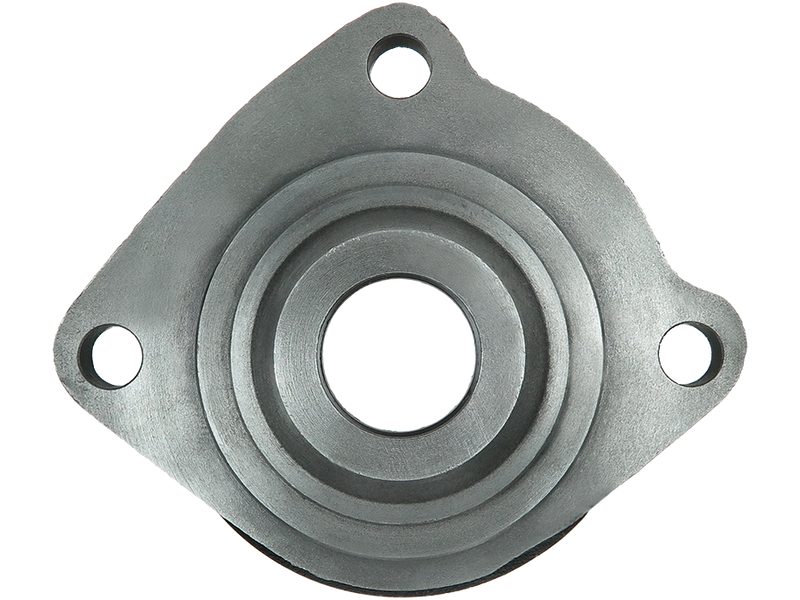 Starter motor brush holder ring