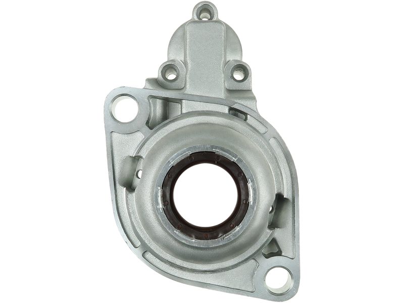 Starter motor brush holder ring