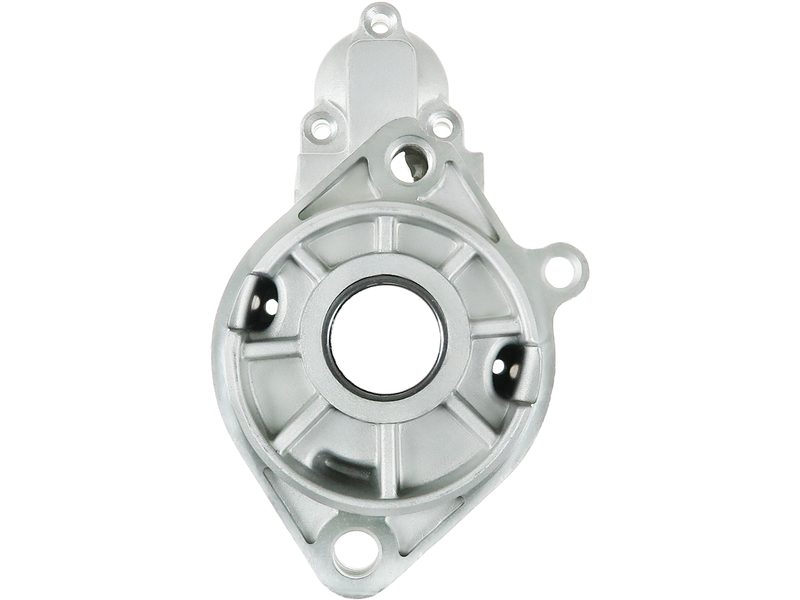 Starter motor brush holder ring