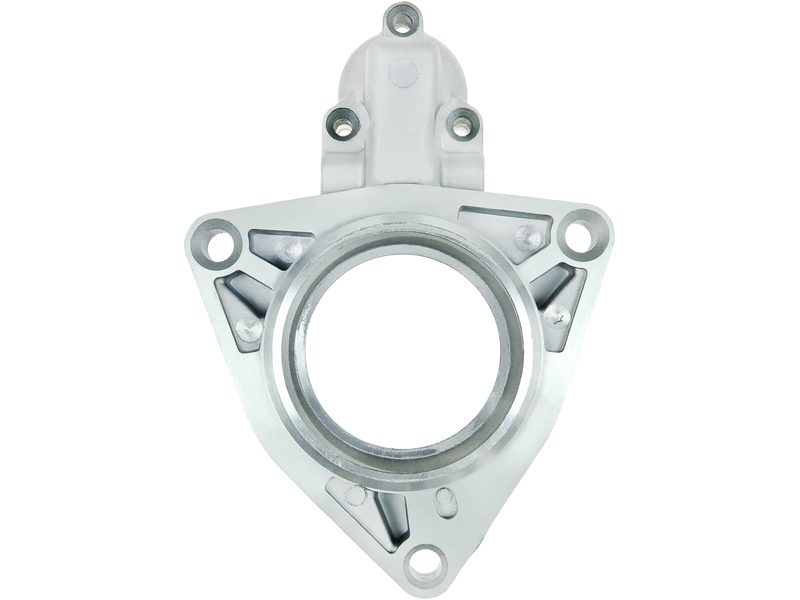 Starter motor brush holder ring