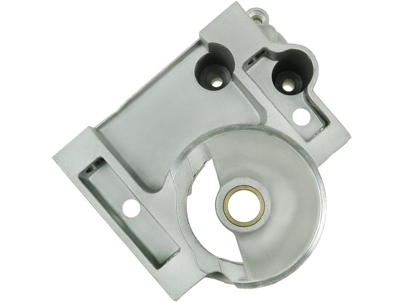 Starter motor brush holder ring