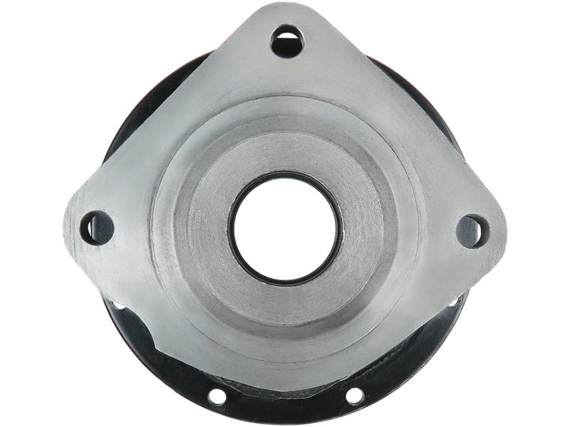Starter motor brush holder ring