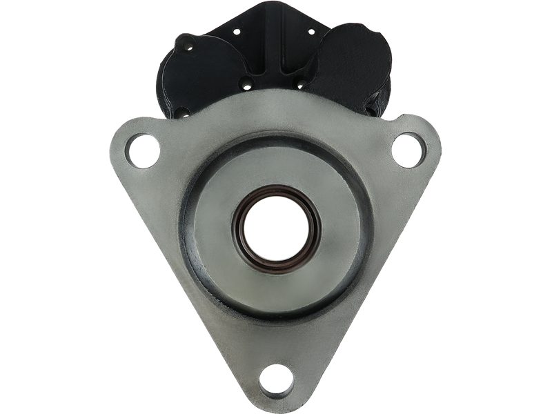 Starter motor brush holder ring