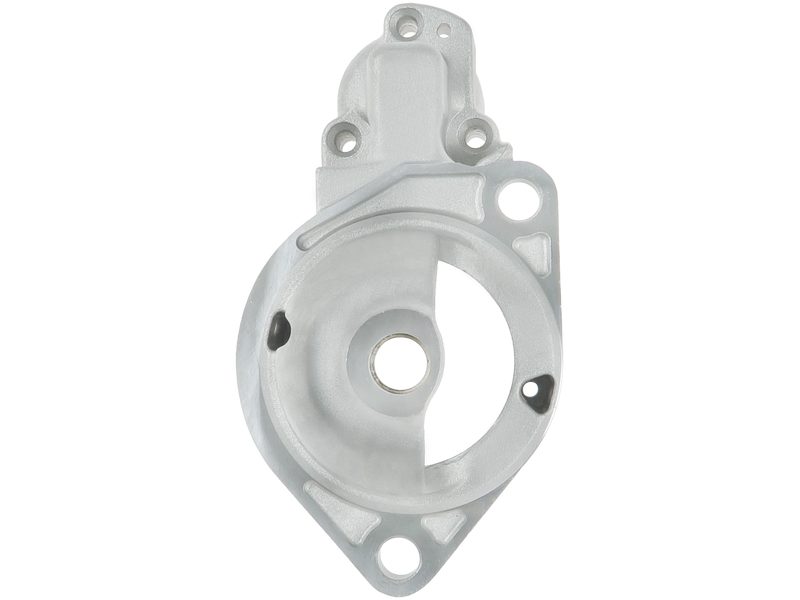 Starter motor brush holder ring