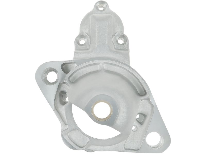 Starter motor brush holder ring