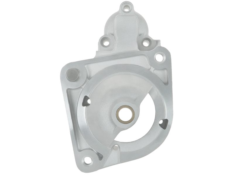 Starter motor brush holder ring