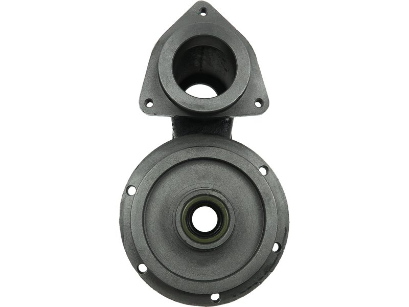 Starter motor brush holder ring