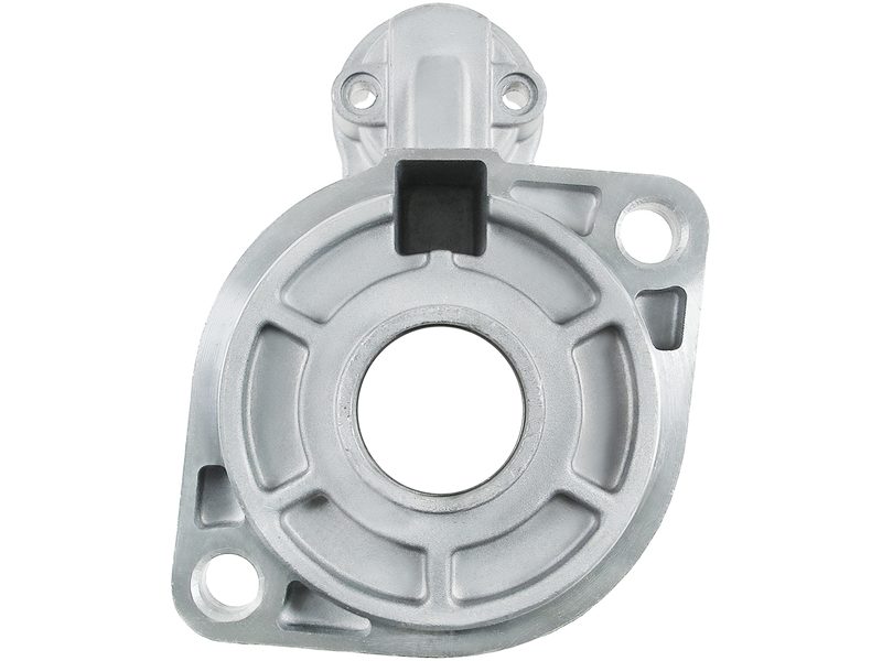 Starter motor brush holder ring