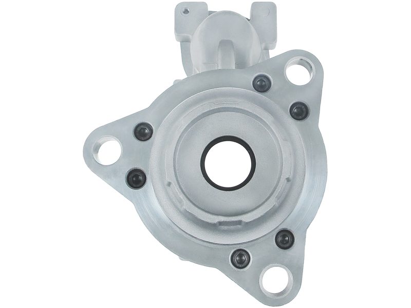 Starter motor brush holder ring