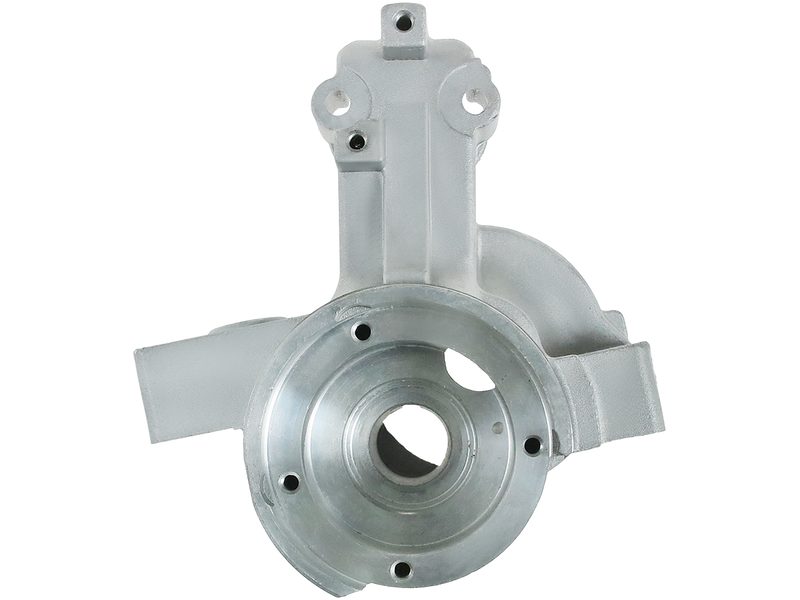 Starter motor brush holder ring