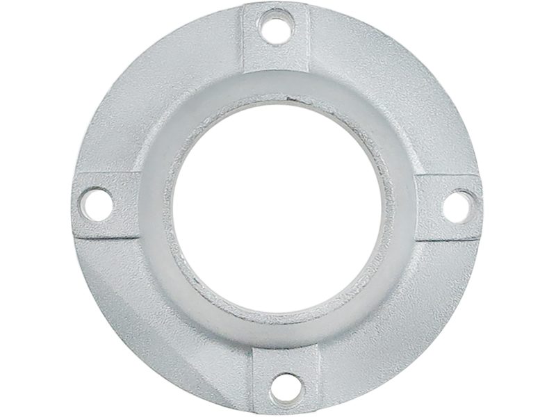 Starter motor brush holder ring