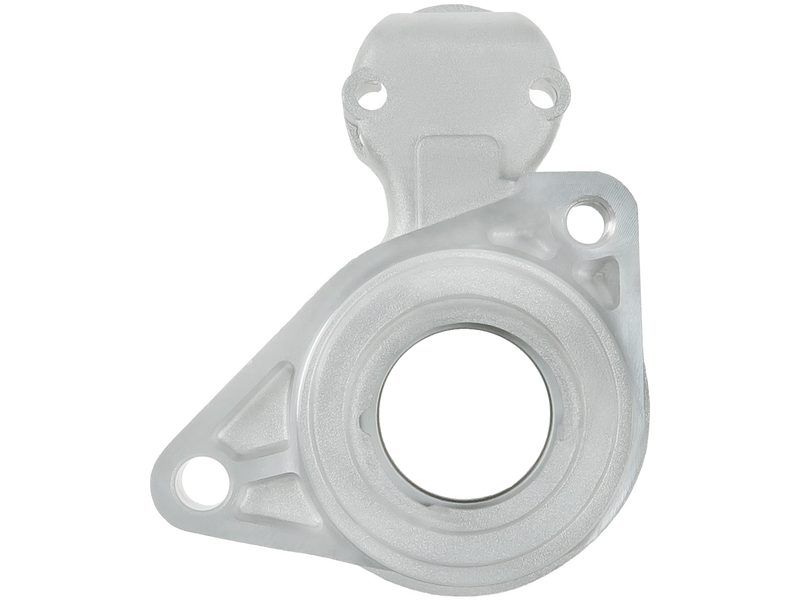 Starter motor brush holder ring