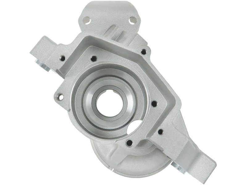 Starter motor brush holder ring