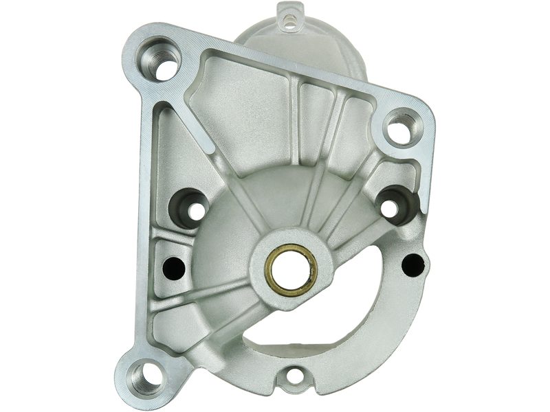 Starter motor brush holder ring