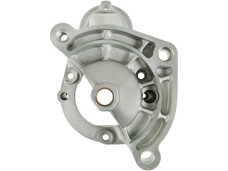 Starter motor brush holder ring