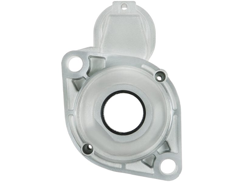 Starter motor brush holder ring