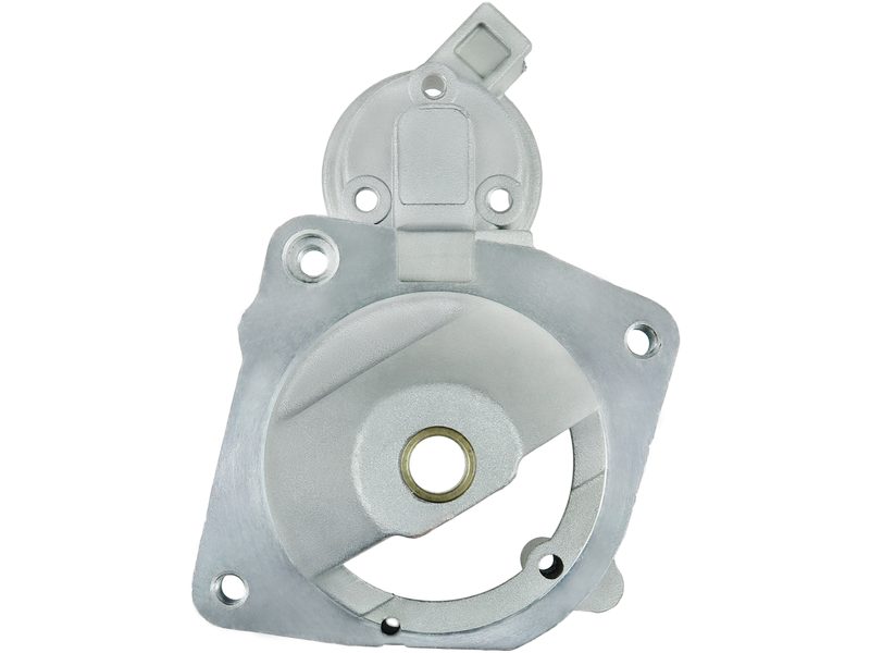 Starter motor brush holder ring