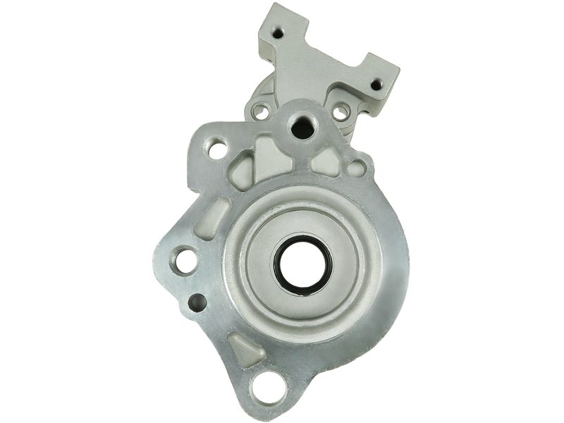 Starter motor brush holder ring