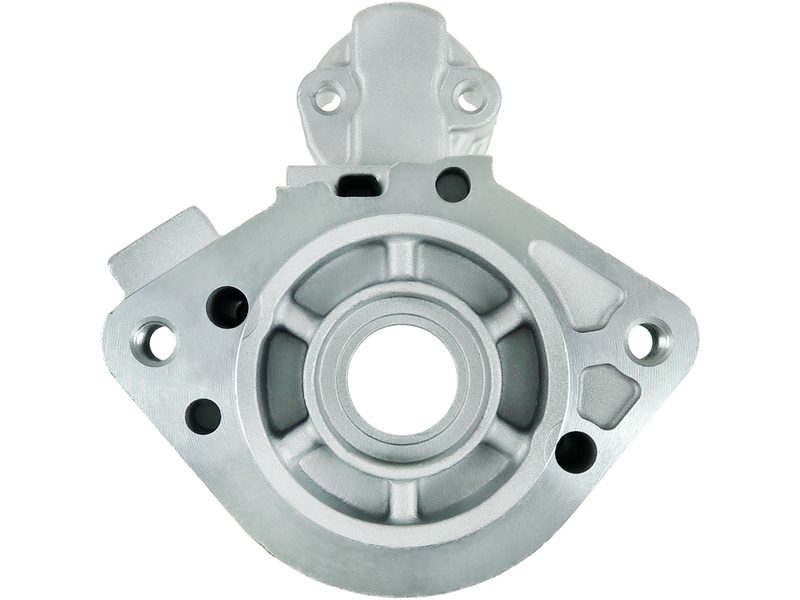 Starter motor brush holder ring