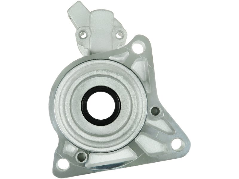 Starter motor brush holder ring