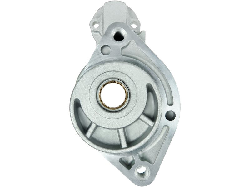 Starter motor brush holder ring