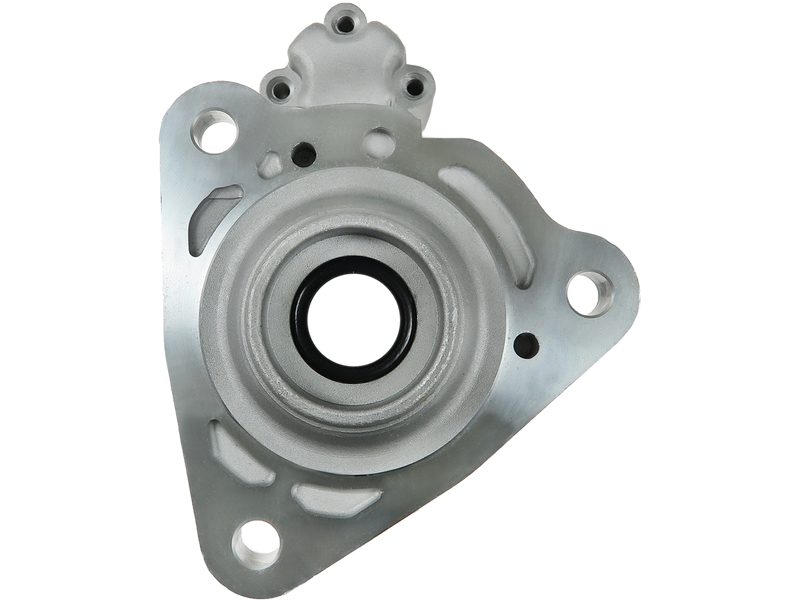 Starter motor brush holder ring