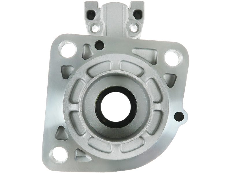 Starter motor brush holder ring