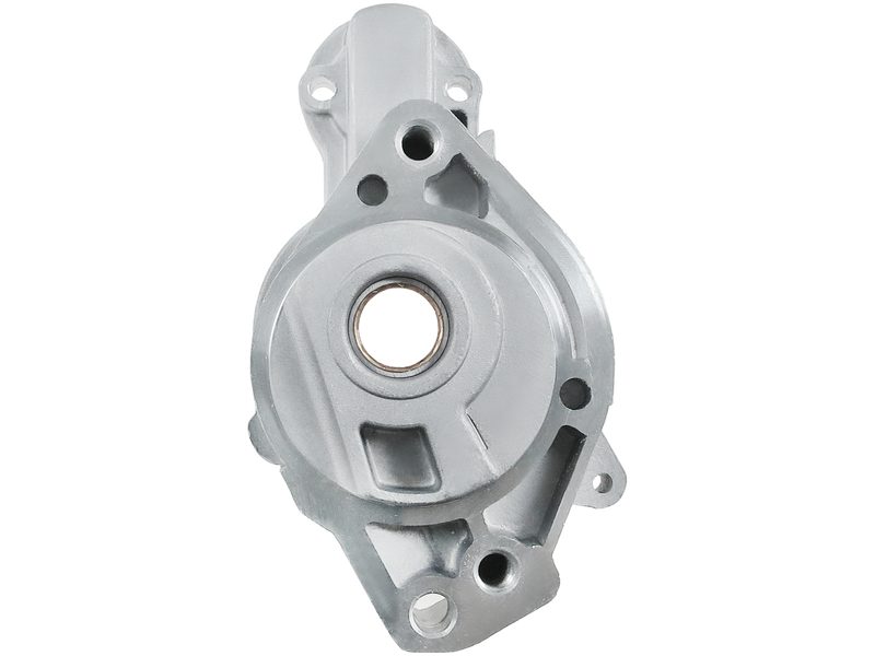 Starter motor brush holder ring