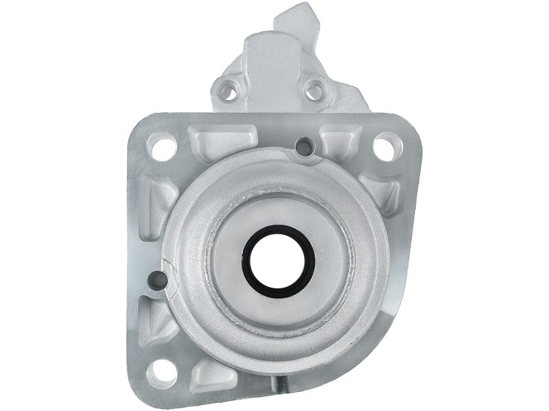 Starter motor brush holder ring