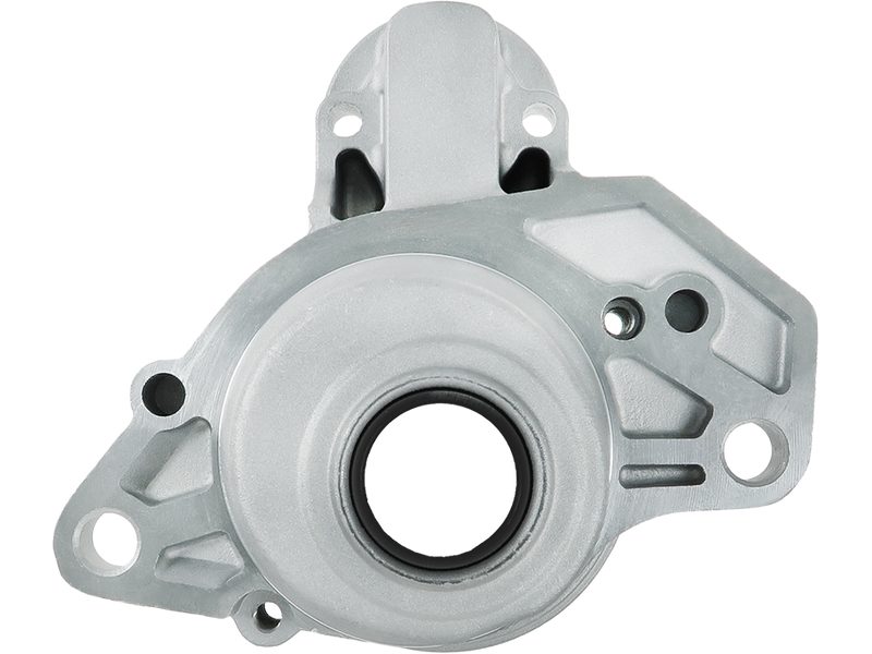 Starter motor brush holder ring