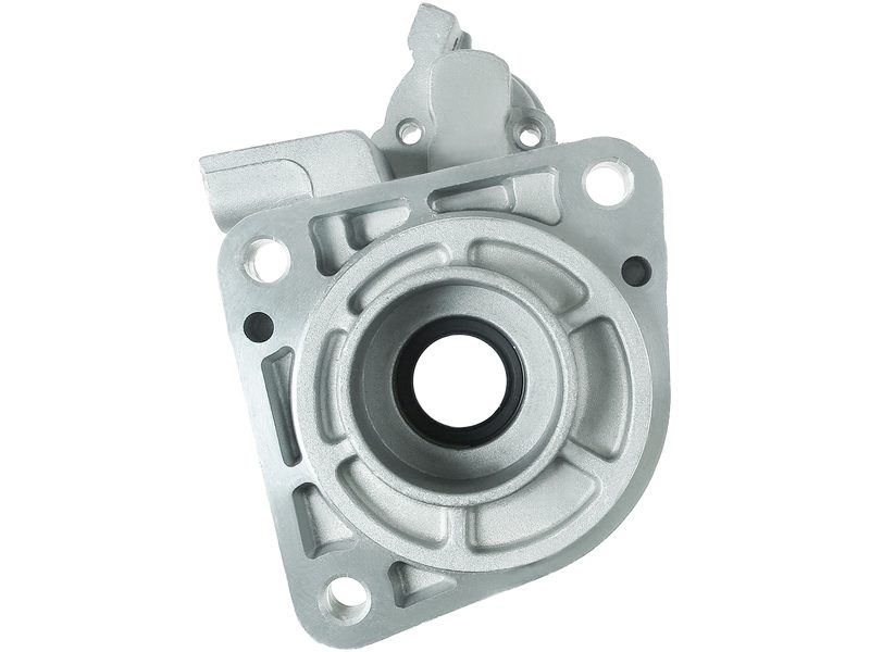 Starter motor brush holder ring
