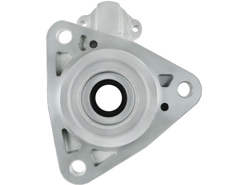 Starter motor brush holder ring