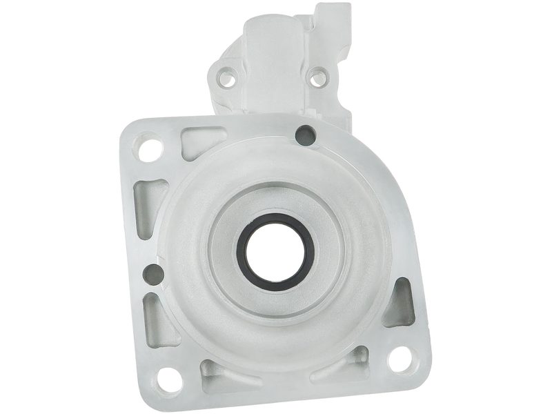 Starter motor brush holder ring